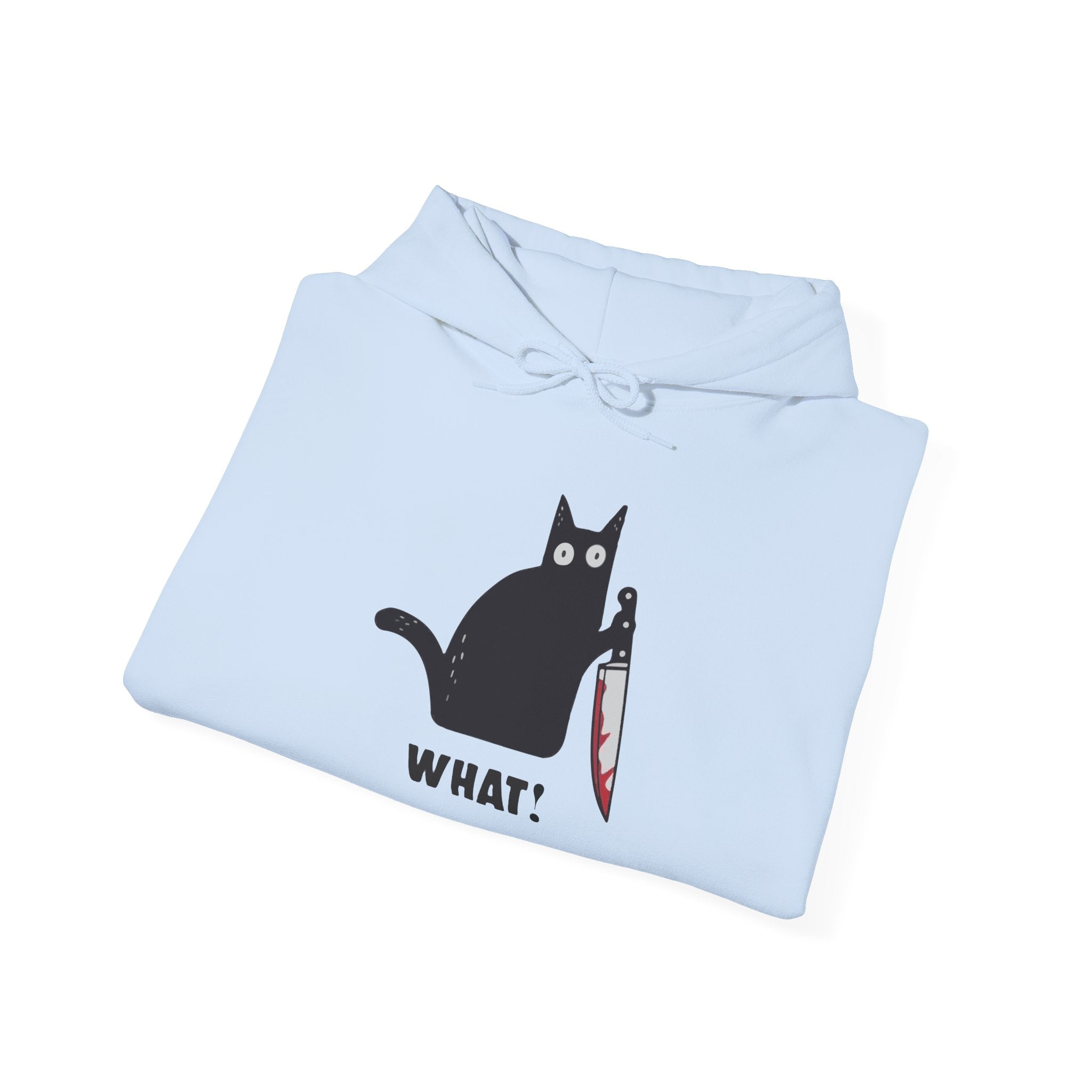 Fun Cat Hoodie, Unisex Sweatshirt for Cat Lovers, Funny Cat Apparel, Gift for Pet Owners, Comfy Casual Wear