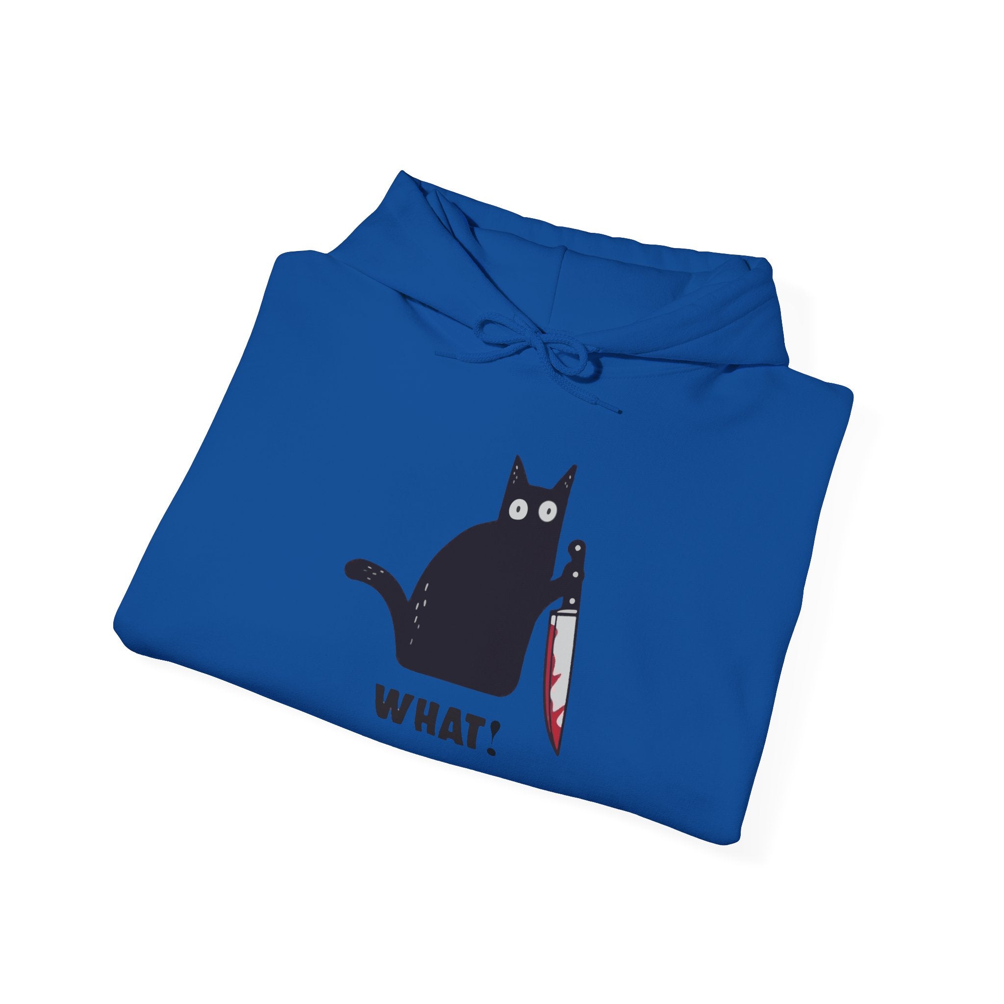 Fun Cat Hoodie, Unisex Sweatshirt for Cat Lovers, Funny Cat Apparel, Gift for Pet Owners, Comfy Casual Wear