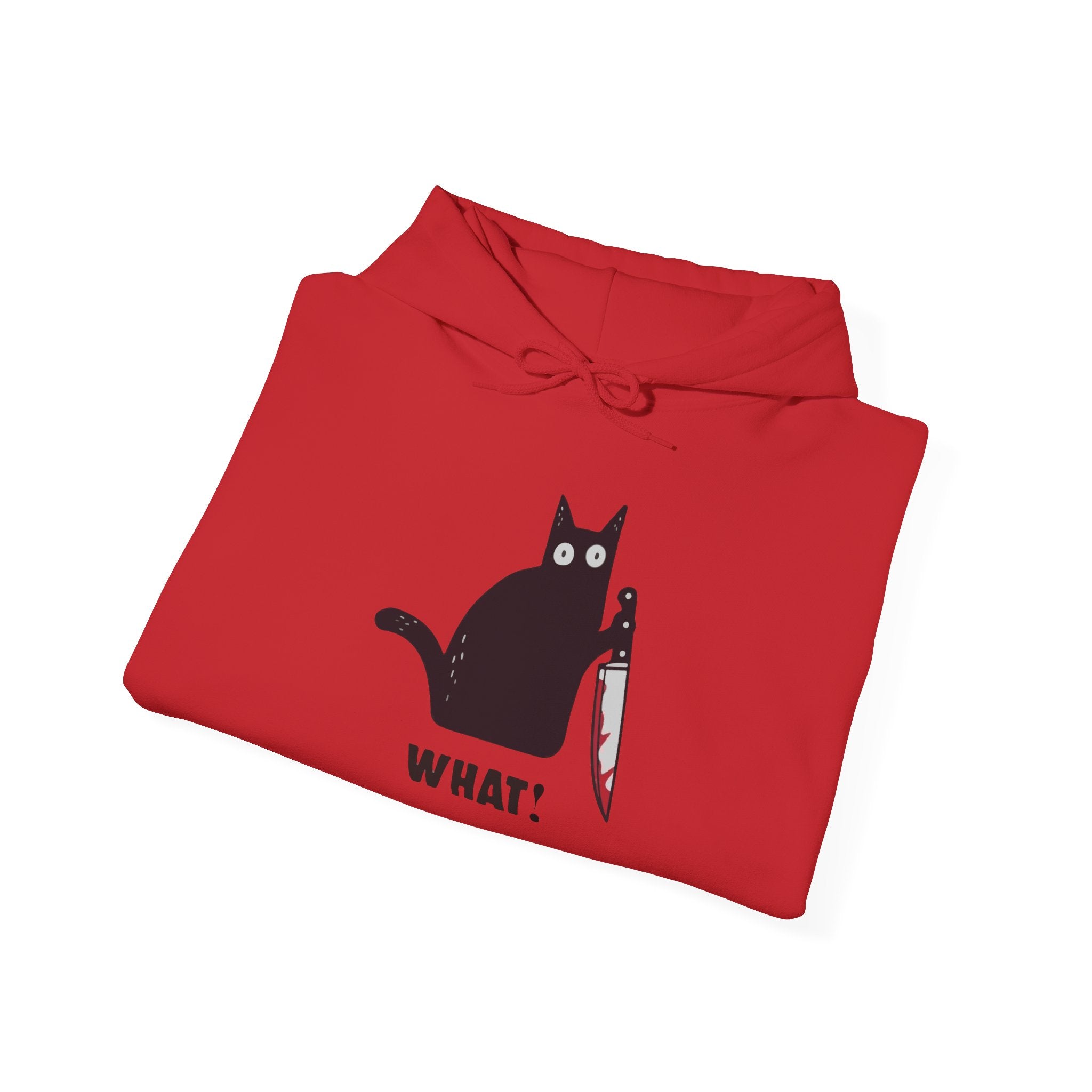 Fun Cat Hoodie, Unisex Sweatshirt for Cat Lovers, Funny Cat Apparel, Gift for Pet Owners, Comfy Casual Wear
